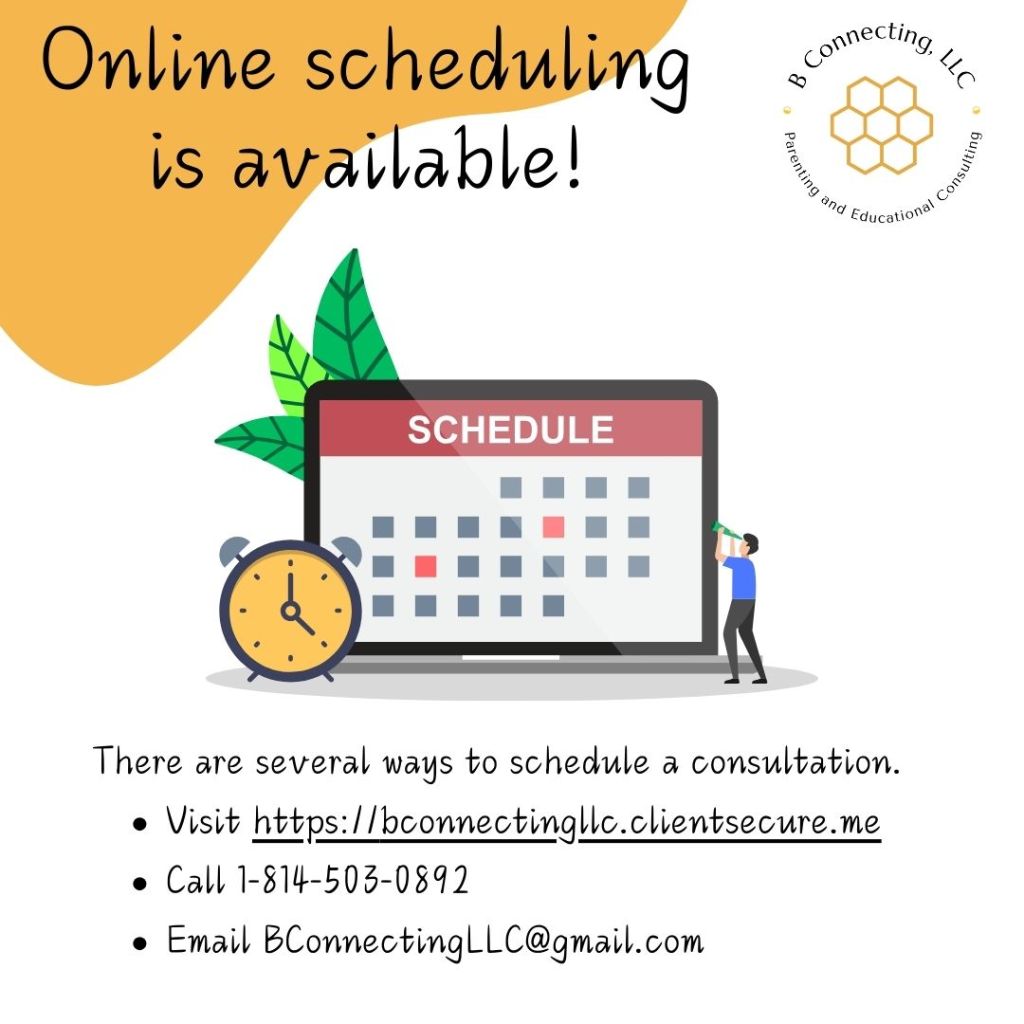 What Are Individual Consulting&nbsp;Sessions?